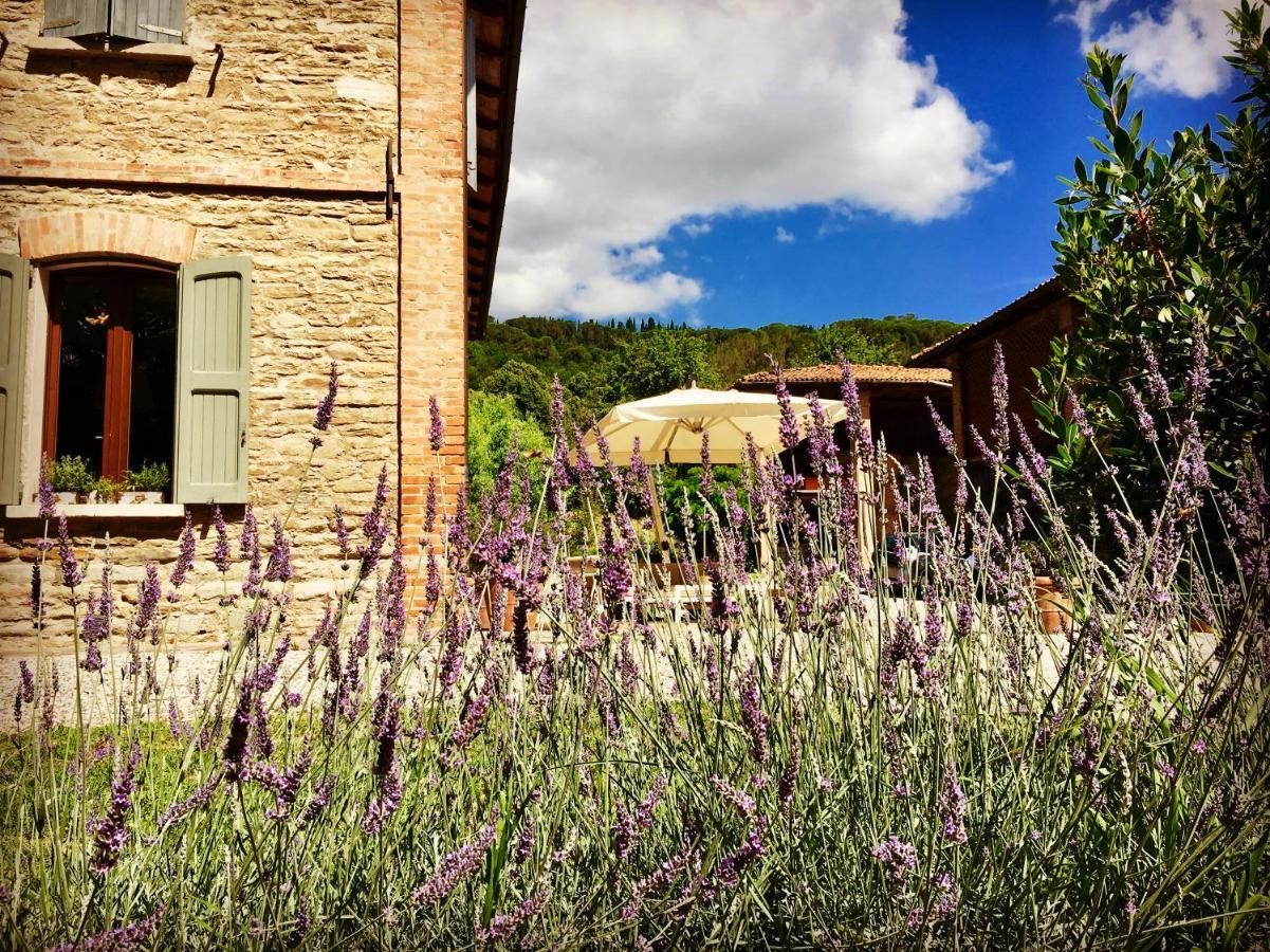 Il Cardello Locanda Casola Valsenio Екстер'єр фото